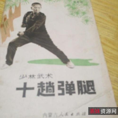 武术《教门弹腿图说》分享
