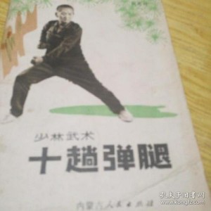 武术《教门弹腿图说》分享