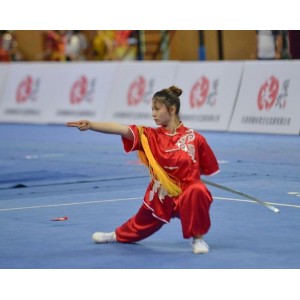 《中国武术实用大全》