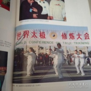 《中国武术百科全书》中国武术编撰委员会