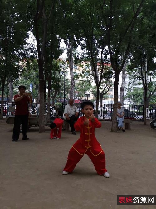 武术《查拳精粹·开封查拳》分享