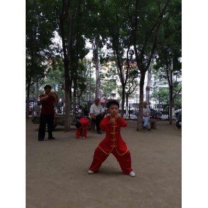 武术《查拳精粹·开封查拳》分享