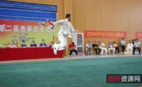 武术《查拳精粹·开封查拳》分享
