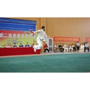 武术《查拳精粹·开封查拳》分享