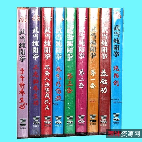 《武当纯阳拳炼养全书》