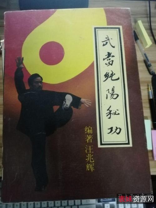 《武当纯阳拳炼养全书》