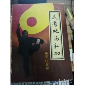 《武当纯阳拳炼养全书》