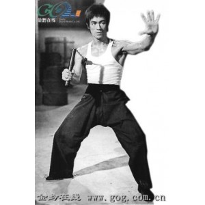 《图解咏春拳》李小龙