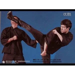 《图解咏春拳》李小龙