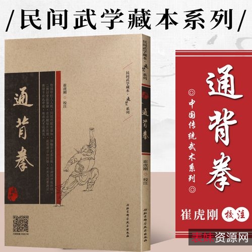 武术《中国通背拳术》分享