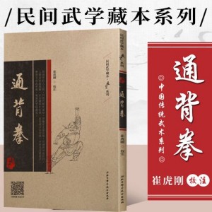 武术《中国通背拳术》分享