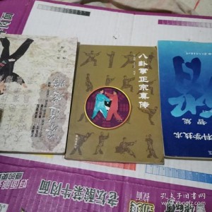 武术《形意拳：十二形精典套路》分享