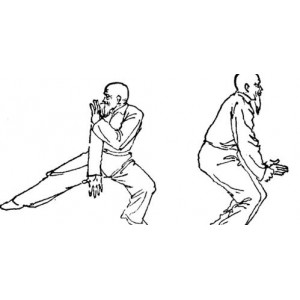 武术《形意拳：十二形精典套路》分享