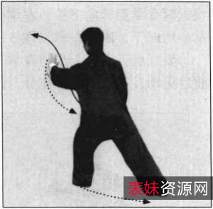 武术《形意拳:十二形精典套路》分享