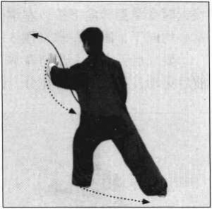 武术《形意拳：十二形精典套路》分享