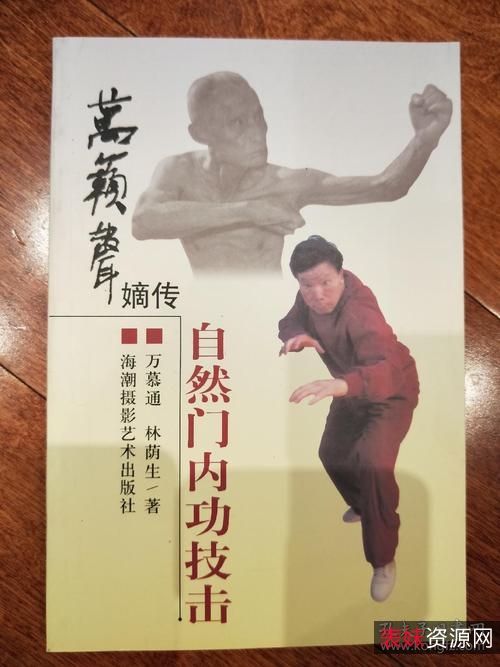 武林泰斗《万籁声liu+he门武功集成》分享