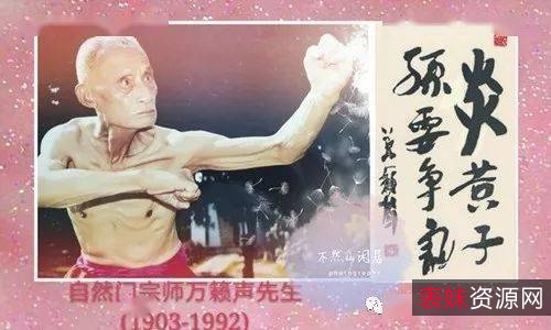 武林泰斗《万籁声liu+he门武功集成》分享