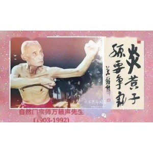 武林泰斗《万籁声liu+he门武功集成》分享