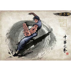 武术《八拳制敌绝技》分享