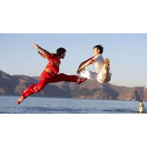 武术《八拳制敌绝技》分享