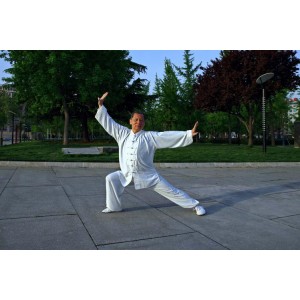 武术《中国查拳实用拳法》分享