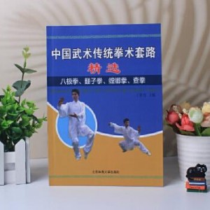 武术《中国查拳实用拳法》分享