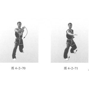 武术《五祖拳制胜奇招》分享