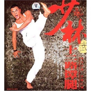 武术《精武潭腿》分享