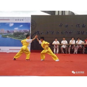 武术《精武潭腿》分享