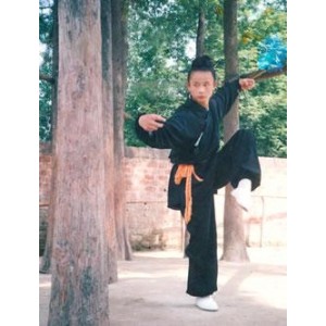 收藏《武当秘拳醉八仙》分享