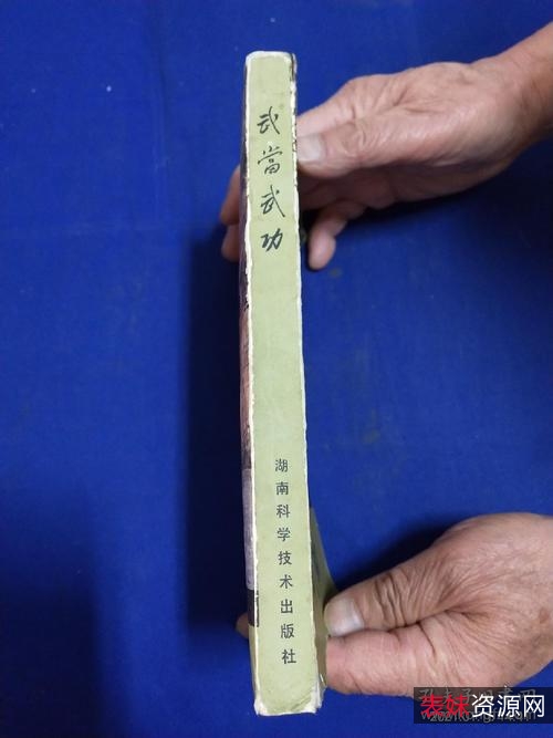 收藏《武当秘拳醉八仙》分享