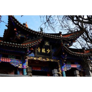 收藏《少林寺内外功真传》分享