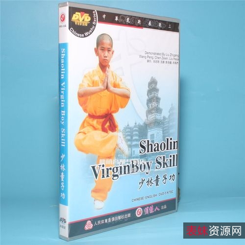 收藏《少林寺内外功真传》分享