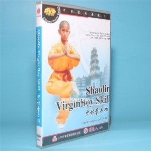 收藏《少林寺内外功真传》分享