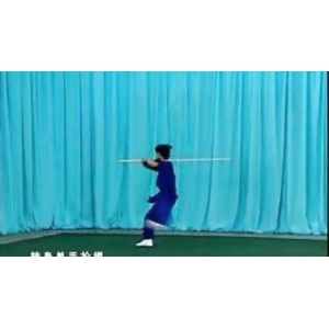 收藏《中华棍术》武术爱好者的福音