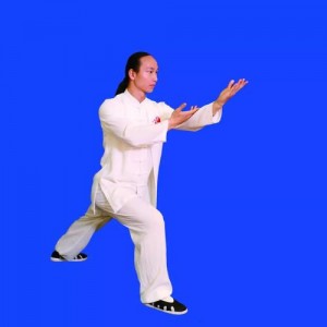 收藏《武当三丰太极拳》分享