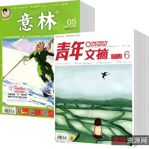 各种杂志合集+读者、青年文摘、故事会、新青年、时代、意林、男人装、科幻世界、经济学人、Hongkong凤凰周刊