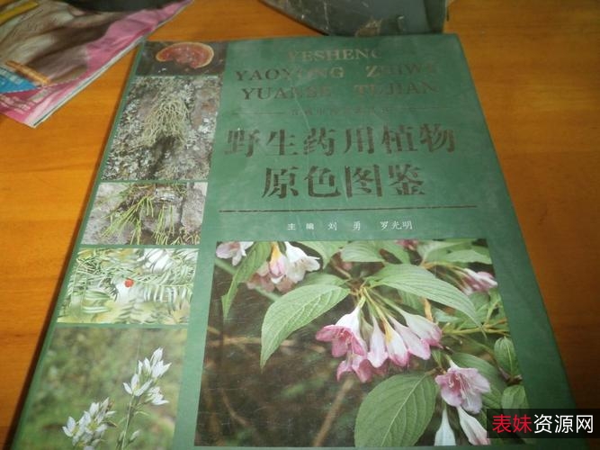 《湿地植物：365种水生、湿生、沼生植物的彩se+tu鉴》5本PDF格式电子书