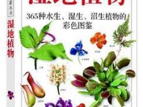 《湿地植物：365种水生、湿生、沼生植物的彩se+tu鉴》5本PDF格式电子书