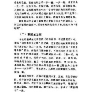 中华武术《吴斌楼戳脚翻子全书》分享