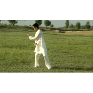 中华武术《吴斌楼戳脚翻子全书》分享