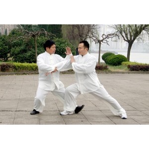 中华武术《太极推手技击传真》分享