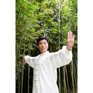 中华武术《太极推手技击传真》分享