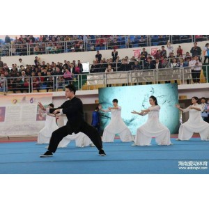 中华武术《太极正宗》分享