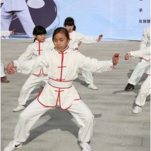 中华武术《太极正宗》分享