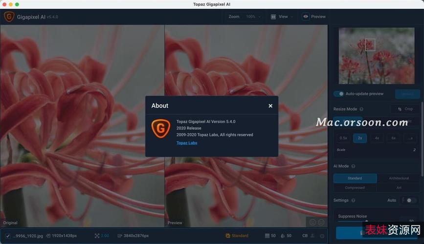 AI人工智能图片无损放大软件Topaz+Gigapixel+AI+5.7官方最新版