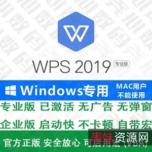 [Windows]+WPS+Office+2019+11.8.2.10九妖2+带VBA（全功能）