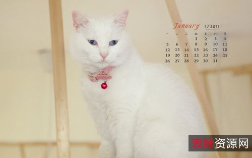 「[Windows]+喵切+3.0+一款下拉猫咪，就能切换壁纸」