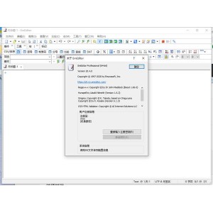 最佳Windows文本编辑器，超大文本编辑器EmuraSoft+EmEditor+Pro+v21.3.0