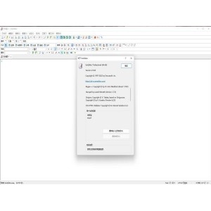 最佳Windows文本编辑器，超大文本编辑器EmuraSoft+EmEditor+Pro+v21.3.0